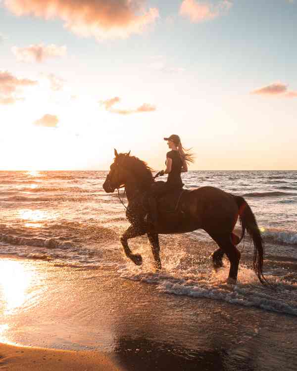 horse_riding2